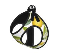 Fresh Tropical Lemons Small Pet Harness Vest - Full Print Design, Adjustable and Reflective for Safety, Suitable for Small Cats and Dogs Pet leash vest
