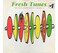 Fresh Tunes - FRESH TUNES / DO YOU KNOW WHAT I MEAN