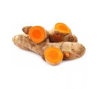 Fresh Turmeric Root I Haldi I Curcuma Longa I Indian Origin I 100G