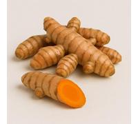 Fresh Turmeric Root I Loose Turmeric 1000 G (Turmeric 1 Kg)
