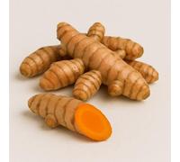 Fresh Turmeric Roots I Fresh Haldi I Curcuma Longa I from India I Pound Veg I 500G