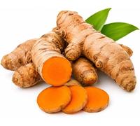 Fresh Turmeric Roots - Natural Haldi Root for Cooking, Juicing, Smoothies, Tea, Pickles & Indian Recipes - Fresh Whole Turmeric for Kitchen Use (250g)
