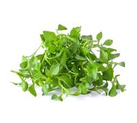 Fresh Watercress 6 packs