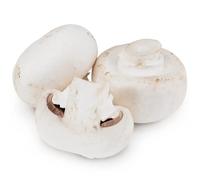 Fresh White Button Mushrooms 5kg -/+10% | Premium Whole Mushrooms | Ideal for Cooking, Stir-Fries, Salads & Healthy Meals | Fresh & Chilled Delivery