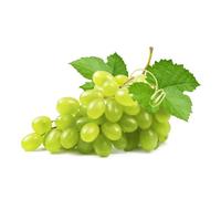 Fresh White Grapes Prepacked 5kg - Sweet & Juicy Seedless Table Grapes | Ready-to-Eat Family & Catering Pack | Premium Quality Fruit