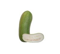 Fresh White Pumpkin, Ash Gourd, Indian Vegetable for Cooking and Juicing, Natural Cooling Winter Melon (1 KG)