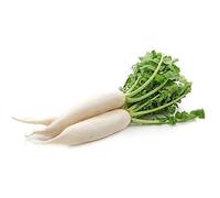 Fresh White Radish, Farm Fresh Indian Root Vegetable, Daikon for Cooking, Salads and Curries (1 KG)