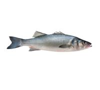 Fresh Whiting 1kg (±10%) x 2 Pack - Premium North Atlantic White Fish, Mild Flavour & Flaky Texture, Ideal for Frying, Baking & Family Meals