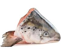 Fresh Whole Salmon Fish Heads, (Pack of 3)
