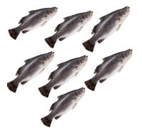 Fresh Whole Seabass Box 7 Units (~6kg) - Premium Mediterranean Fish - Restaurant Quality - Sustainably Sourced - Ideal for Grilling, Baking & Seafood Dishes - Fresh or Frozen