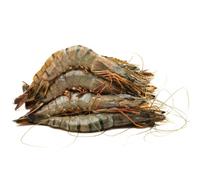 Fresh Wild Tiger Prawns 1kg (±10%) - Premium Large Whole Prawns, Sustainably Caught, Rich in Flavour & Protein, Ideal for Grilling, Stir-Fries & Seafood Dishes