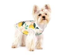 Fresh Yellow Lemons Summer Fruits,Cotton Sleeveless Pet T-Shirt Soft Stretchy Puppy Breathable Vest,S