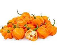 Fresh Yellow Scotch Bonnet Pepper I 1KG