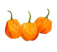 Fresh Yellow Scotch Bonnet Pepper I 200G