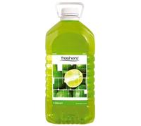 Fresher's Juice Drinks 5ltr (Lime, Pack of 2)