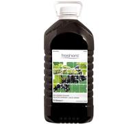 Freshers No Added Sugar Blackcurrant Cordial - 2x5ltr