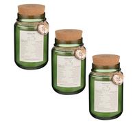 Freshly Baked Scented Candle - Apple Pie - Pack of 3 - Fill Your Home with The Warm and Comforting Scent of Apple Pie - Perfect for Home or as a Gift