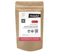 Freshly Fermented - Organic & Vegan Certified Egyptian Kombucha Scoby Culture