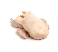 Freshly Frozen Halal Whole Goose | 5.5~6 kg