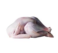 Freshly Frozen Halal Whole Turkey | 2.5~3.5 kg