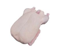 Freshly Frozen Whole British Duck | 2~2.5 kg