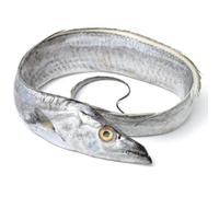 Freshly Frozen Whole Silver Ribbon Fish 500gr-1kg -/+10% x 2 pack