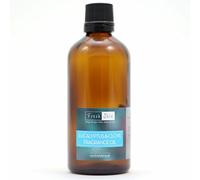 freshskin beauty ltd | 50ml Eucalyptus & Clove Fragrance Oil - Candles, Bath Bombs, Soap Making, Reed Diffusers & Wax Melts - Cosmetic Grade - Vegan Friendly - A Rich, Complex, & Long Lasting Scent!