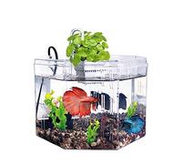 Freshwater Fish Acrylic Transparent Fish Tank with Pump Filtration Ornamental for Beginner Aquarists