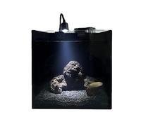 Freshwater Fish Black Square Glass AquariumSmall One Piece Desktop Aquarium for Beginner Aquarists