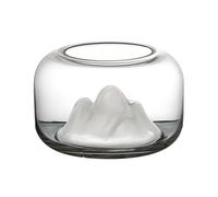 Freshwater Fish Desktop Glass Fish Tank Transparent Round Small for Beginner Aquarists