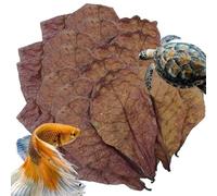 Freshwater Shrimp and Tropical Fish Leaves for a pH Balanced Water and Cozy Environment, Almond Leaves for Aquarium, Almond Leaves for Betta Fish, Nesting