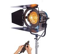 Fresnel Spotlight Tungsten Halogen Video Continuous Lighting 2000W Pro Video Spot Light, for Zoom Studio Theater Concert Meeting and TV Show
