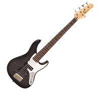 FRET KING BLACK LABEL PERCEPTION CUSTOM 5 STRING BASS - BLACKBURST
