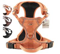 FREUDENTIER Dog Harness with Mesh Padding, Highest Comfort, Bomb-proof Fit & Maximum Safety, Anti-Pull Front Ring, Chest Harness for Large, Medium and Small Dogs (Orange, XS)