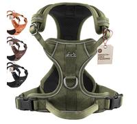 FREUDENTIER Dog Harness with Mesh Padding, Highest Comfort, Bomb-proof Fit & Maximum Safety, Anti-Pull Front Ring, Chest Harness for Large, Medium and Small Dogs (Green, S)