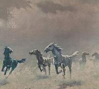 Frevert, Niels - Zettel auf dem Boden [VINYL]