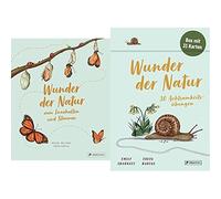 Freya Hartas Ka Wunder der Natur zum Innehalten und Staunen: 50 klein (Hardback)