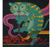 Freylekh Jamboree - Electric Gypsy-Live at Big App