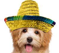 Frfik Mini Sombrero,Woven Mexican Hat | Wide-Brim Headband for Outdoor Costume Celebrations Pet Children Dog Birthday Kids