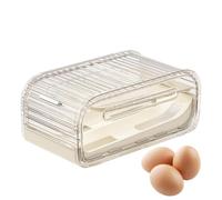 Fridge Egg Holder, 2-Tier Automatic Rolling System with Sliding Lid, Large Volume Egg Dispenser for the Fridge, for Storing in the Freezer, Kitchen, Pantry Cabinet, Home