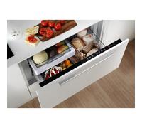 Fridge Fisher Paykel RB9064S1 Integrated CoolDrawer- Multi-Temperature Drawer