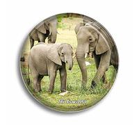Fridge Magnet Elephant Moremi Wildlife Reserve Botswana Glass Magnets for Refrigerator Souvenirs Cute Crystal Magnet Decor for Whiteboard Office Home Gift