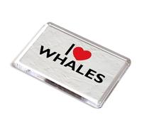 FRIDGE MAGNET - I Love Whales