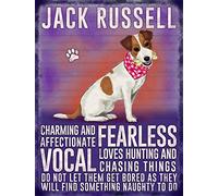 Fridge Magnet - Jack Russell Dog