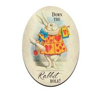 Fridge Magnet (Oval 65 x 90 mm) - Alice's Adventures in Wonderland (Down the Rabbit Hole)