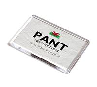 FRIDGE MAGNET - Pant, Merthyr Tydfil, Wales - Lat/Long SO0608