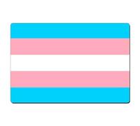 Fridge Magnet Transgender Pride Flag 8.5cm x 5.4cm Sl loss Aluminium