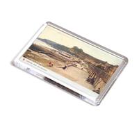 FRIDGE MAGNET - Vintage Devon - Dawlish. From the Railway (2c)