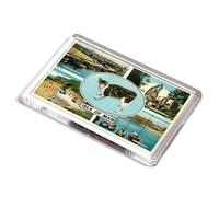 FRIDGE MAGNET - Vintage Isle of Man - Manx Cat/Four Views (2)