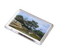 FRIDGE MAGNET - Vintage London - On the Heath, Hampstead (b)